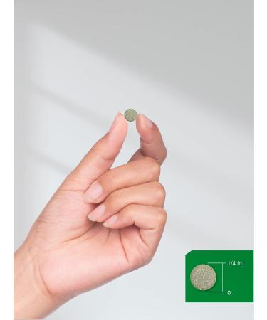 Chlorophyll Tablets 300 Chewables - Natural Peppermint Flavor, Vegan, Non-GMO, Gluten Free by Horbaach - Buy Online on GoSupps.com