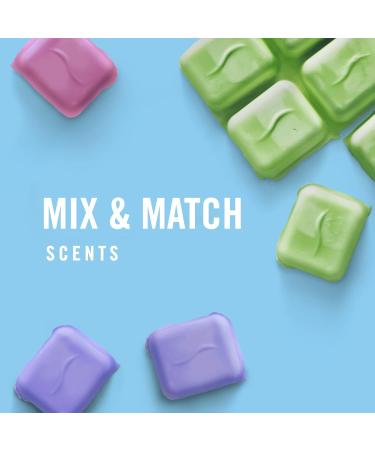 Febreze Gain Original Scent Wax Melts | 6 Packs, 6 Cubes Each | Air Freshener Wax Melt Warmer Cubes - Buy Online on GoSupps.com