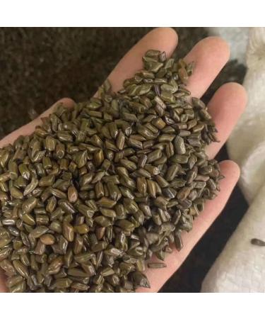 Cassia Seed Semen Cassiae Cassia ObtusifoliaL semen Cassiae Torae sickle Senna Cassia Tora Cassia Obtusifolia Catsia Tora Linn juemingzi (1000grams) - Buy Online on GoSupps.com