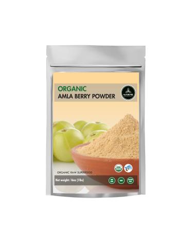 Amla Berry Powder (1lb) by Naturevibe Botanicals - Organic Gluten-Free Raw & Non-GMO (16 ounces)