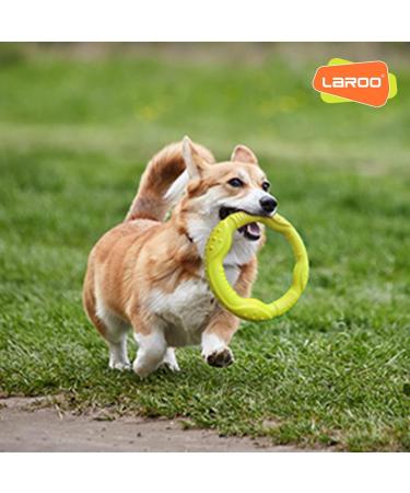 Laroo Indestructible Dog Frisbee - Floatable Flight Disc Toy for All Dog Sizes | Perfect for Summer Training | 22cm Green - Buy Online on GoSupps.com