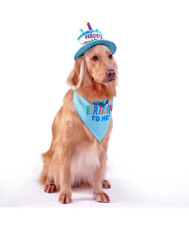 Ushang Pet Extral Large Dog Birthday Cake Hat & Birthday Bandana Scarfs Set Blue  Dog Happy Birthday Hat with Colorful Candles  Large Dog Birthday Party Supplies Decorations Birthday Hat & Bandana - Buy Online on GoSupps.com