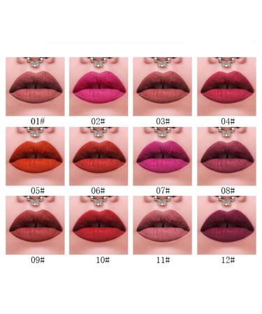 Nourishing Matte Lipgloss - Long Lasting Hydrating Lipstick | Moisturizing Lip Color for All Skin Types - Buy Online on GoSupps.com