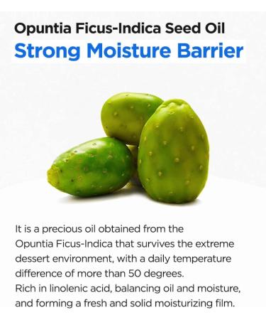Isntree Hyaluronic Acid Water Essence - Hyaluronic Acid Serum with Highly Concentrated Hyaluronic (50 ml) - Buy Online on GoSupps.com