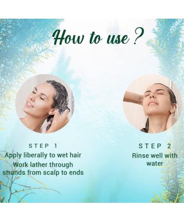 Biotique Bio Kelp Protein Shampoo for Hair Fall - 190 ml | Nourishing & Strengthening Formula | Buy Internationally - Buy Online on GoSupps.com