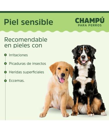 RcOcio Dog shampoo with aloe vera | Shampoo for sensitive skin 1 liter with aloe vera | Dog shampoo for odor control white or dark coats with aloe vera for dermatitis | For long or short coats also for puppies - Buy Online on GoSupps.com