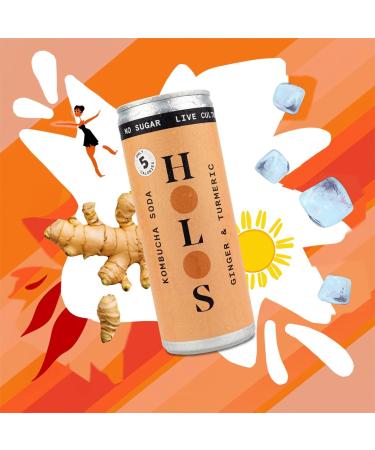 Holos Kombucha Soda - Ginger Turmeric - 12x 250ml Cans, Sugar-Free, Live Cultures, Vegan Gluten-Free - Buy Online on GoSupps.com