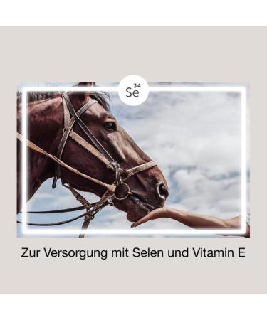 Equimove Selen + E: High-Dose Pellets for Muscle Endurance - 50 000 mg Vitamin E & 20 mg Selenium 1.5 kg - German Quality for Selenium Deficiency Prevention - Buy Online on GoSupps.com
