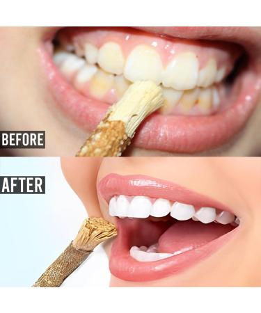 BML 3 x Miswak Natural Dental Chew Thick Herbal Stick Vacuum Packed Sewak Datun for Ancient Remedy Promotes Healthy Teeth & Gums and Ensures Fresh Breath - Buy Online on GoSupps.com