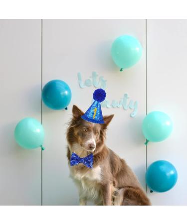 Shop Dher Pet Birthday Set - Gold Sequin Hat & Decor for Dogs & Cats - Festive Party Accessories (Blue) - Buy Online on GoSupps.com