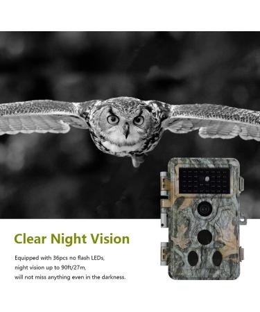 Buy Blazevideo Wild Camera 32MP 1296P - IP66 Waterproof Surveillance for Hunting & Forest Monitoring - Buy Online on GoSupps.com