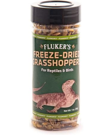 Fluker's Freeze Treats for Reptiles | Premium Healthy Snacks - Buy Online on GoSupps.com
