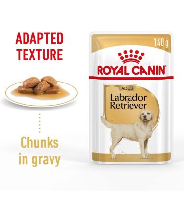 Royal Canin Labrador Retriever Adult in Gravy Wet Dog Food 140g (Pack of 40) - Buy Online on GoSupps.com