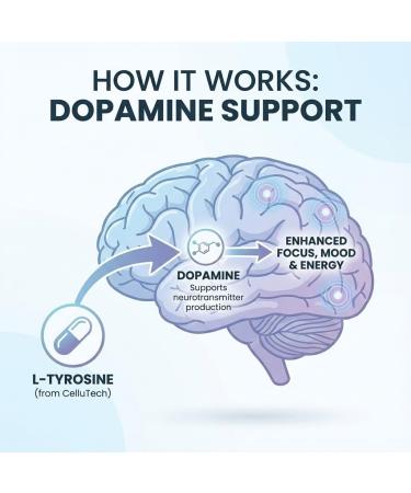 L-Tyrosine Dopamine Brain Food Supplement | Mental Energy & Focus Support with B Vitamins | Cognitive Health & Mental Drive Vegan Capsules 120 Count 120 Count (Pack of 1) - Buy Online on GoSupps.com