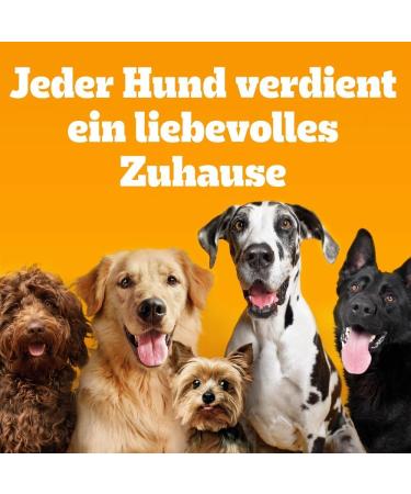 Buy Pedigree Junior Multipack Mixed Selection in Jelly - Wet Dog Food for Young Dogs - 84 x 100g Portion Bags - International Shipping Available - Buy Online on GoSupps.com