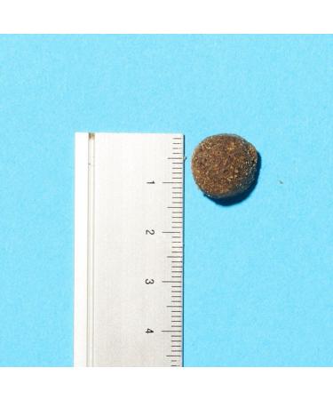 Pooch & Mutt Health & Digestion Complete Dry Dog Food Salmon and Sweet Potato Grain Free - 70.54 Oz - Buy Online on GoSupps.com