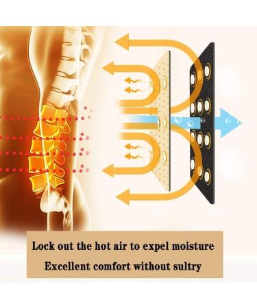 Buy Lumbar Support Belt for Men & Women - Double Train Lower Back Pain Relief | Waist Support Black L - Buy Online on GoSupps.com