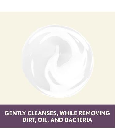 Aveeno Absolutely Ageless Nourishing Daily Facial Cleanser - Blackberry Extract - 5.2 fl. oz - Buy Online on GoSupps.com