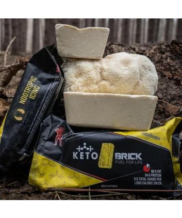 Keto Brick | Pineapple Nootropic Icing High Performance Keto Meal and Snack Bar - Low Carb Sugar-Free High Protein Keto Bars for On-the-Go Energy Perfect for Keto Diets Nootropic Icing Single - Buy Online on GoSupps.com