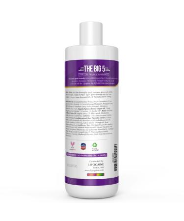 Lipogaine Big 5 Hair Stimulating Shampoo for Thinning & Breakage - Infused with Biotin, Caffeine, Argan Oil, Castor Oil, Saw Palmetto - Men & Women - All Hair Types - Buy Online on GoSupps.com