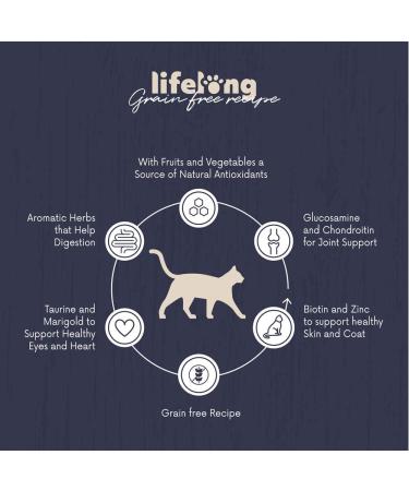 Amazon Brand - Lifelong - Dry Cat Food for Adult Cats Grainfree Recipe with Fresh Salmon 1 Pack of 3kg Salmon Adult Cats - Buy Online on GoSupps.com