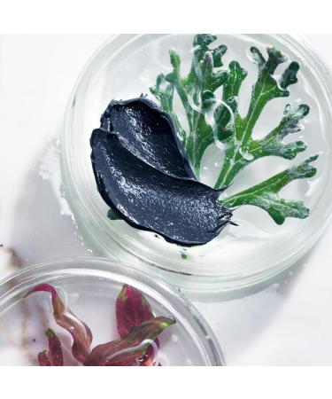 Bullfrog - Masque Exfoliant Anti-Pollution: limine les Impuret s et les Cellules Mortes Peau Purifi e et Liss e Id al pour Tous les Types de Peau 100 ml - Buy Online on GoSupps.com