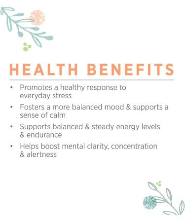 PURE SYNERGY Stress Remedy | 60 Capsules | USDA Organic | Non-GMO | Vegan | Ashwagandha Root Extract for Natural Stress Relief - Buy Online on GoSupps.com