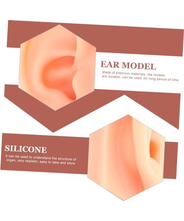 Baluue Silicone Simulation Ear Model for Jewelry Practice and Display - Khaki Prosthesis Earring Display - Buy Online on GoSupps.com