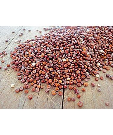 Organic Red Quinoa Grain 1kg by Hatton Hill Organic - Certified Organic - Buy Online on GoSupps.com