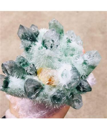 Natural Crystal Rough Natural Green Ghost Phantom Quartz Crystal Cluster Rock Stones and Crystals ReikiSpecimen Home Deco for Decoration Stone Generator (Size : 700-800g) - Buy Online on GoSupps.com
