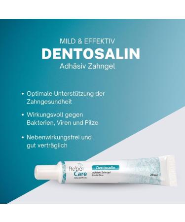 Buy Generic ReboCare Dentosalin Gel 20 ml - ECA Adhesive Tooth Gel for Tartar & Plaque Removal | Fast International Shipping - Buy Online on GoSupps.com