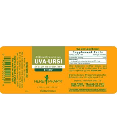 Herb Pharm Uva Ursi Liquid ExtraStrength for Urinary Support - 1 Fl Oz (Pack of 1) - Buy Online on GoSupps.com