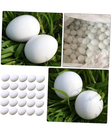 BCOATH 60 Pcs Water Injection Fake Pigeon Eggs White Fake Eggs Parrot Eggs Compact Eggs Breeding Props Craft Eggs for Painting Artificial Eggs Toy Eggs Supplies Meat Pigeon Plastic Whitex2pcs 2.9X4.1CMx2pcs - Buy Online on GoSupps.com