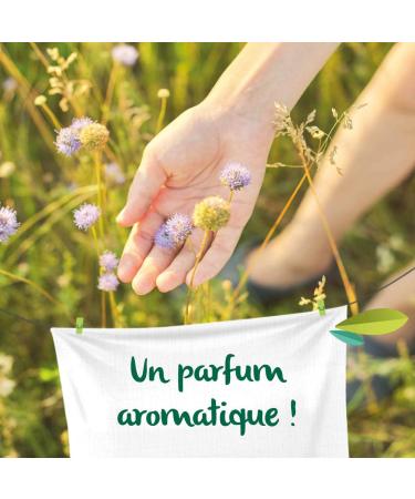 L'Arbre Vert Laundry Powder 1.8 kg (36 washes) - Buy Online on GoSupps.com