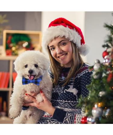 Asvin Personalized Velvety Dog Collar - Adjustable & Removable for Small Medium Large Dogs (L Deep Blue) - International Shipping Available - Buy Online on GoSupps.com