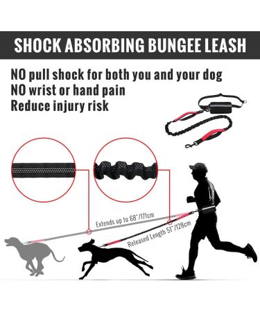 Plutus Pet Hands Free Dog Lead | Dual Handle Retractable Bungee Lead | Reflective Stitches | Adjustable Waist Lead for Medium Large Dogs - Red - Buy Online on GoSupps.com