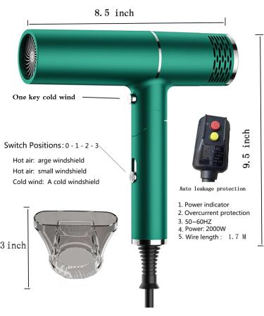 1800W Professional Ionic Hair Dryer | Fast Drying Compact & Folding Blow Dryer for Travel Salon & Family Use - Green - Buy Online on GoSupps.com