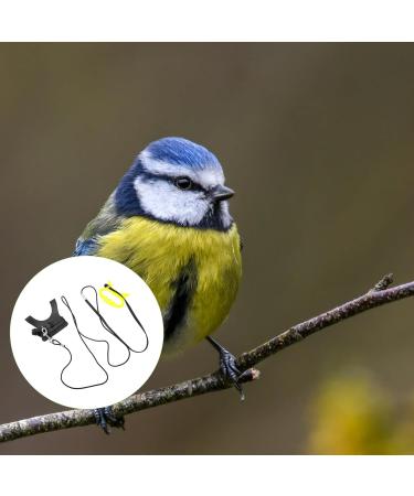 Generic Pigeon Harness Parrot Bird Strap- Adjustable Bird Vest& Harness Kit/Outdoor Parrot Flight Training Rope/Pet Outdoor Leash Suitable for Parrot Lovebird Cockatiel Birds ( M ) Macaw Harness - Buy Online on GoSupps.com