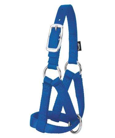 Weaver Leather Livestock Goat Halter Blue, Large