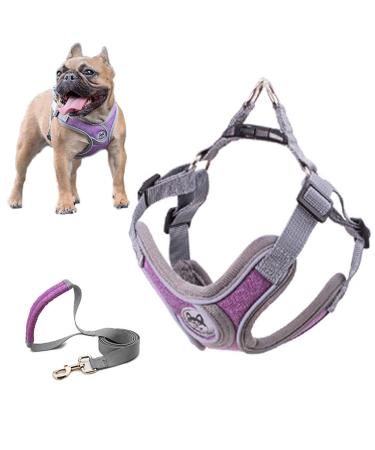SKXEO Dog Harness Small Dog No Pull Dog Harness and Lead Set Adjustable Breathable Reflective Lightweight Pet Vest Harness Escape Proof Dog Harness Easy Control for Outdoor Walking Training Medium Roland purple