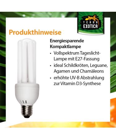 Compact Pro 8.0 UVB Lamp for Terrariums | Energy-Saving Daylight for Agamens Chameleons Iguanas & Turtles - Buy Online on GoSupps.com