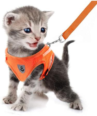Femax Dog Harness & Linen Set - Soft Mesh Padded Dishes for Puppies & Cats Reflective Adjustable Breathable Vest for Walking & Training (Breast 30-34 cm) - Orange - Buy Online on GoSupps.com