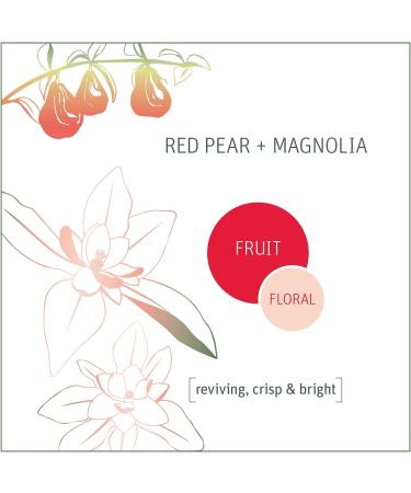 Grab Green Automatic Dishwashing Pods - Red Pear & Magnolia, 60 Loads, Eco-Friendly 2 lbs 4 oz - Buy Online on GoSupps.com