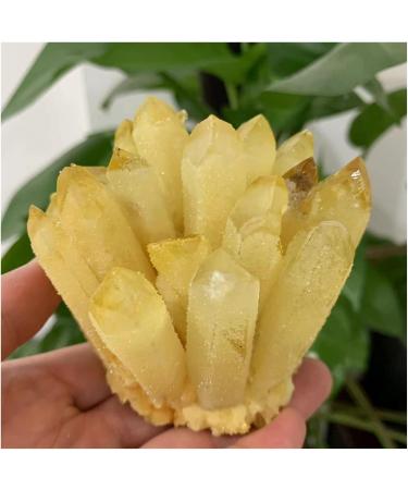 Natural Crystal Rough Crystal Cluster Natural Citrine Phantom Quartz Crystal Cluster Specimen (Size : 750-800g) - Buy Online on GoSupps.com