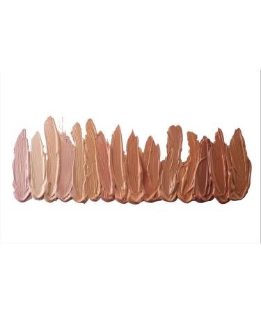 Veil Cosmetics Complexion Fix Concealer 2N Light Neutral - Multi-Use Oil-Free Concealer Highlighter - Vegan & Cruelty-Free - Buy Online on GoSupps.com