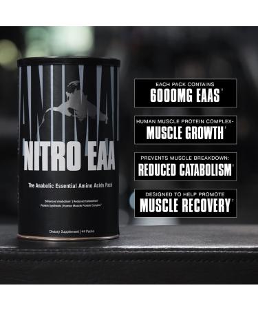 Animal Nitro BCAA Supplement for Muscle Recovery and Growth - 44 Packs - Buy Online on GoSupps.com