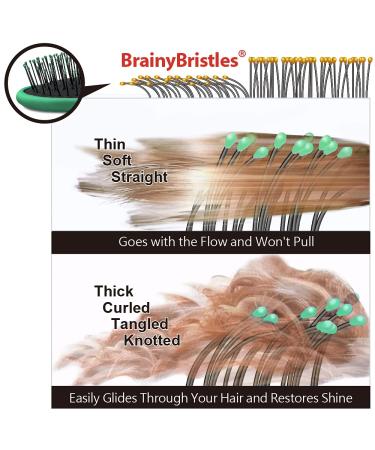 NuWay 4HAIR Traveler Patented Travel Brush (Dark Green) - Perfect for U.S. and International Trips - Buy Online on GoSupps.com