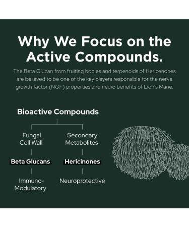 Plant of Life Lion's Mane Mushroom Capsules | Cognition Memory Focus Brain Health | 100% Pure Organic Mushrooms | Vegan Non-GMO | 120 ct 120 count (Pack of 1) - Buy Online on GoSupps.com