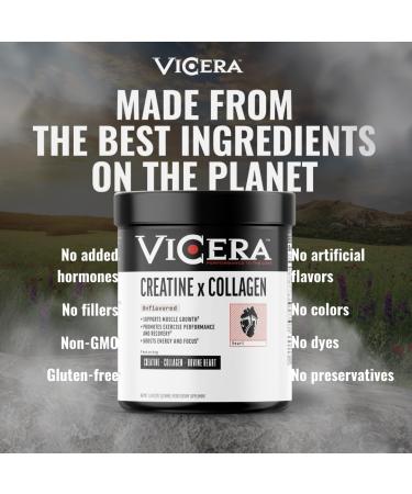 Creatine + Collagen Powder Unflavored Creatine Monohydrate and Collagen Supplement with Probiotics Gluten Free Non GMO Easy to Digest Formula 30 Servings 13.8 Oz Unflavored 13.8 Ounce (Pack of 1) - Buy Online on GoSupps.com