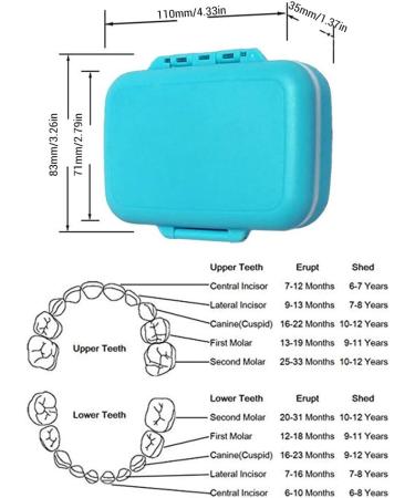 Kids Tooth Keepsake Box - Cute Children's Tooth Fairy Organizer in Purple - Buy Online on GoSupps.com
